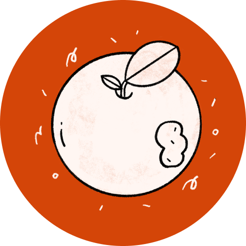 STEP-BY-STEP PARAGRAPH BUILDER - FIVE DAY LESSON PLAN