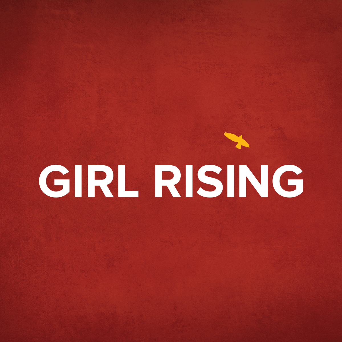 Looking Inward: Issues of Educational Equity in the US