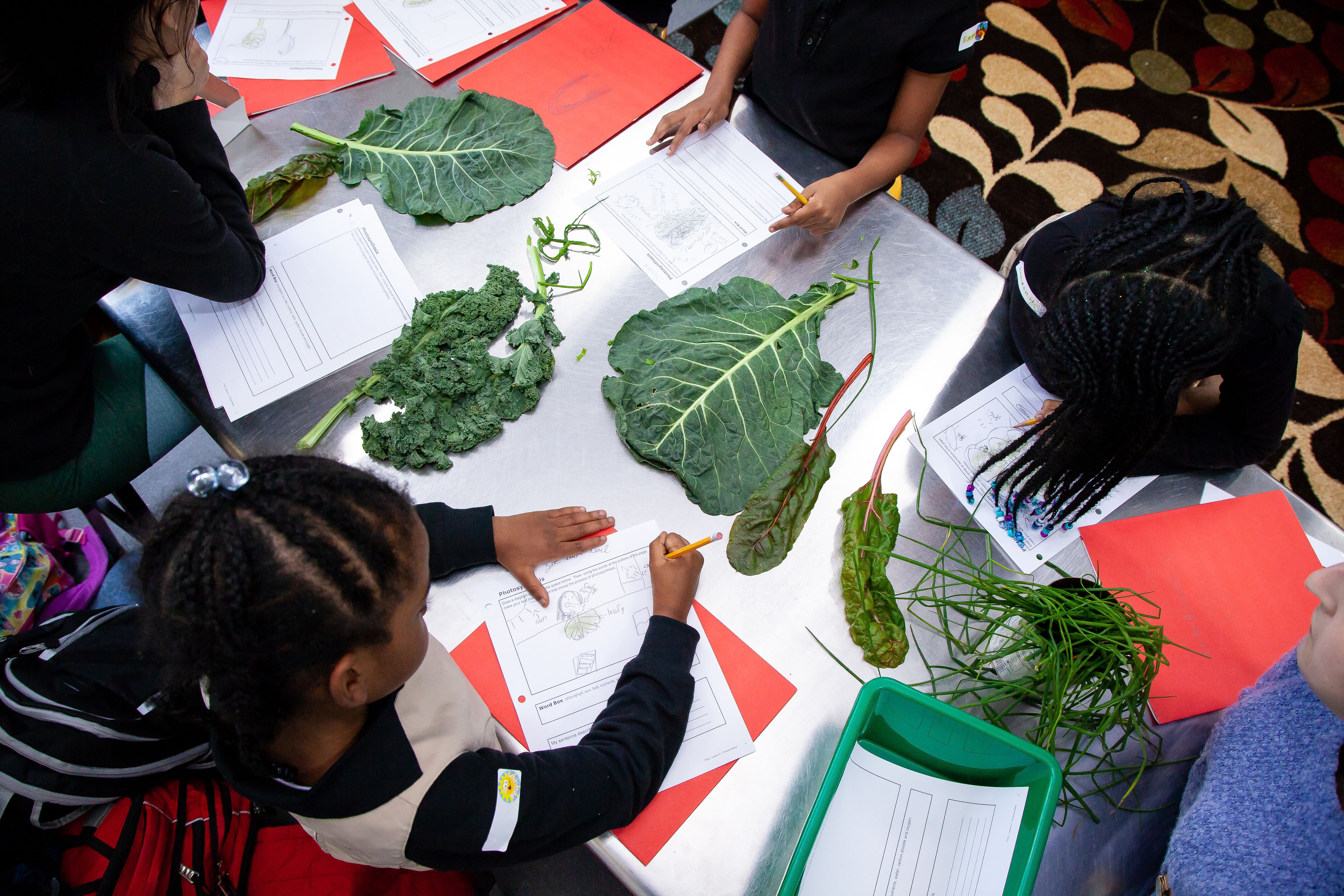 Nutritious and Delicious