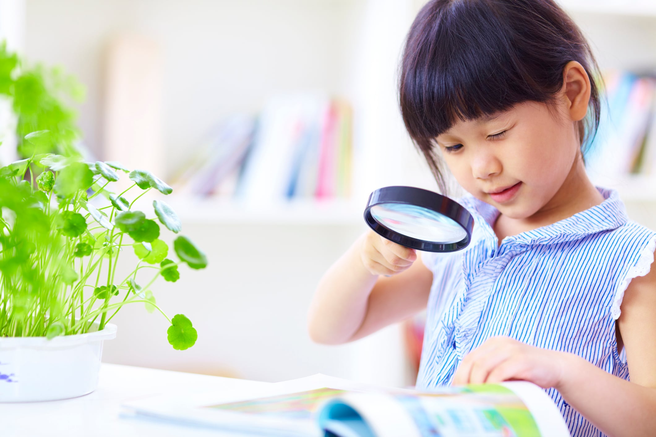 Demystifying the Science of Reading