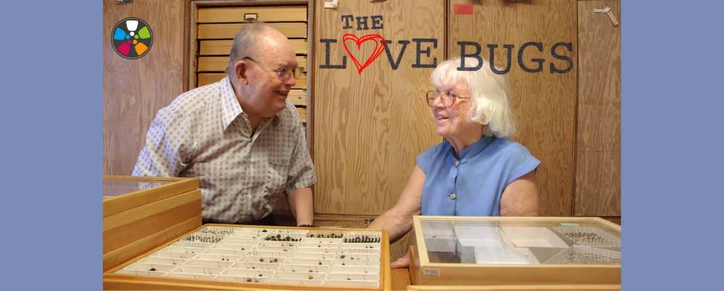 Explore Nature and SEL with The Love Bugs Short Film