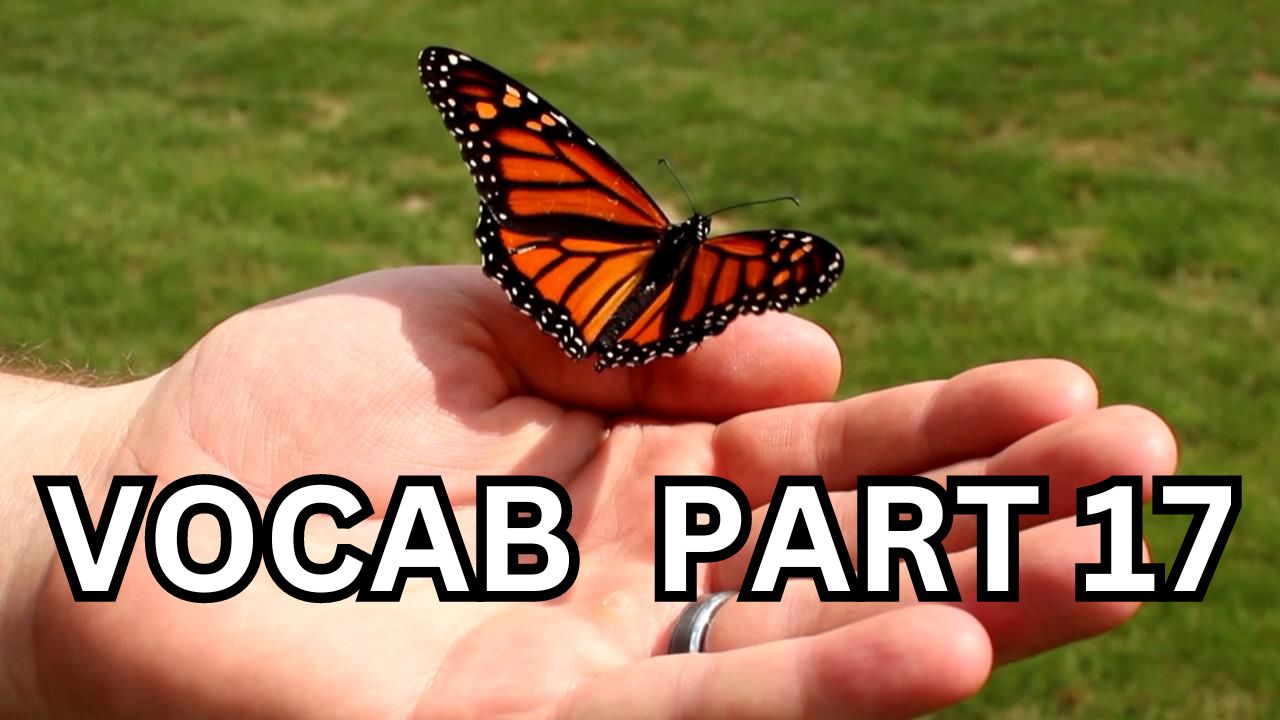 Vocabulary Builder Part 17 Video sheet, Google Forms, Canvas & more V2