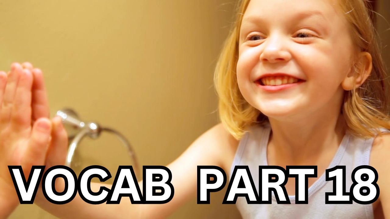 Vocabulary Builder Part 18 Video sheet, Google Forms, Canvas & more V2