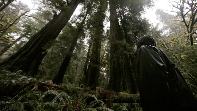 Protecting Wilderness | Global Oneness Project